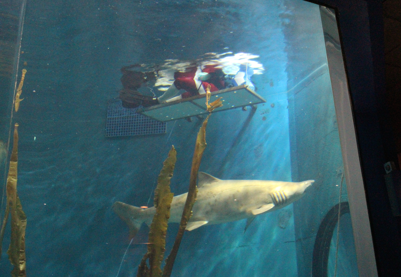 Window Screen Patch Shark Tank