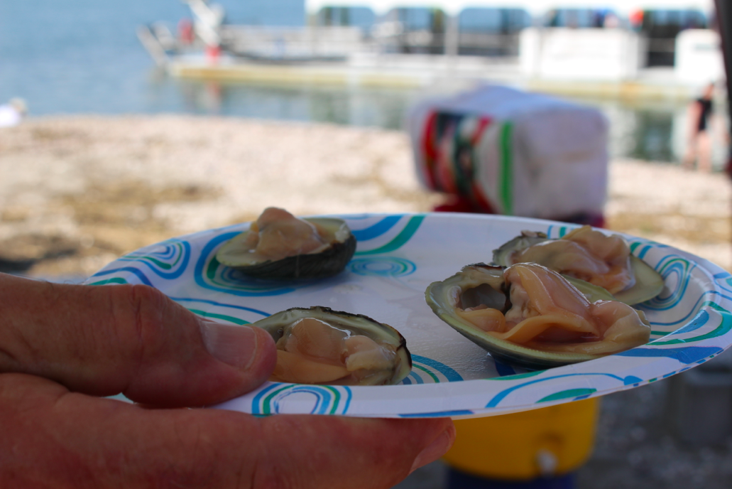 Oysters from the free raw bar at the Experience the Sound event. Photo: Leslie Yager