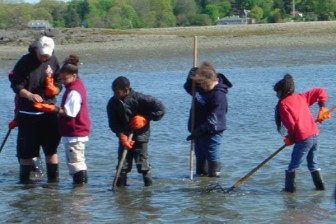 Looking-for-Shellfish-Treasures-at-Tods-Point-in-Greenwich-Joint-Effort-Between-Shellfish-Commission-and-MOC-Inc.-May-2004