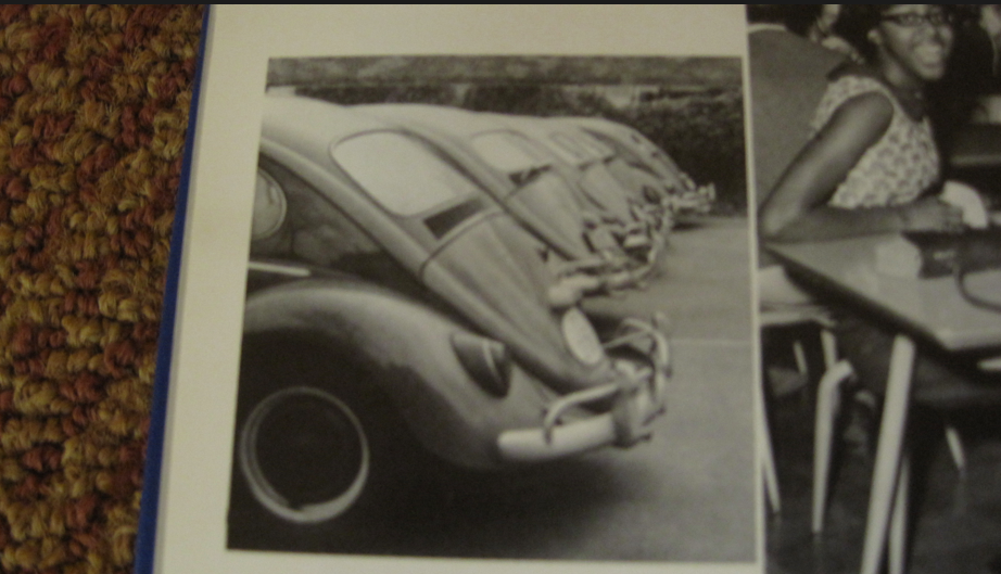volkswagen bugs at old GHS