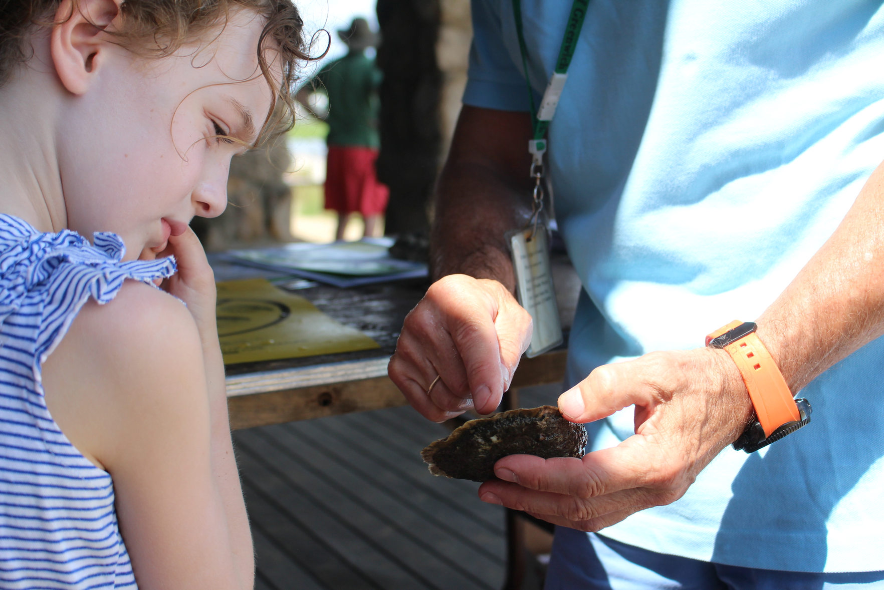 Hailey Dybas of Old Greenwich learned about oysters and clams from Roger Bowgen at Experience the Sound 2015. Credit: Leslie Yager
