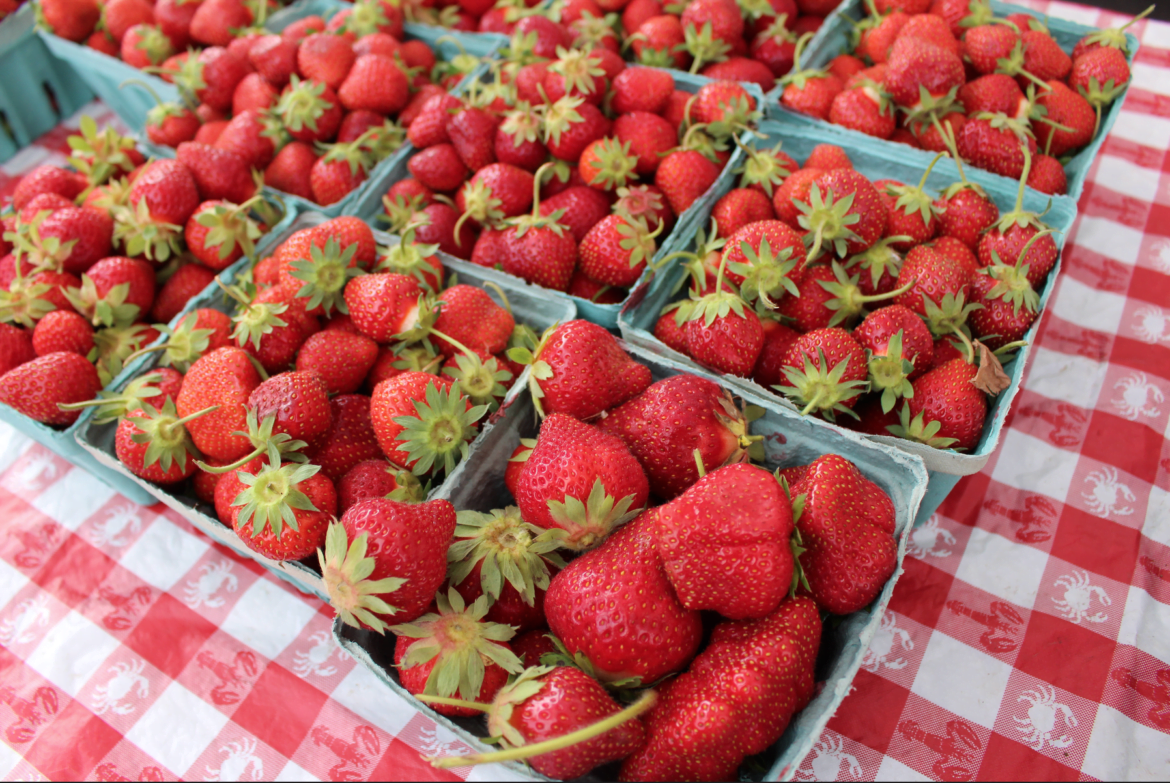 John Plasko brought 14 cases of strawberries to Greenwich on June 13. The market opened at 9:30am and by 10:30am the strawberries were sold out. Credit: Leslie Yager