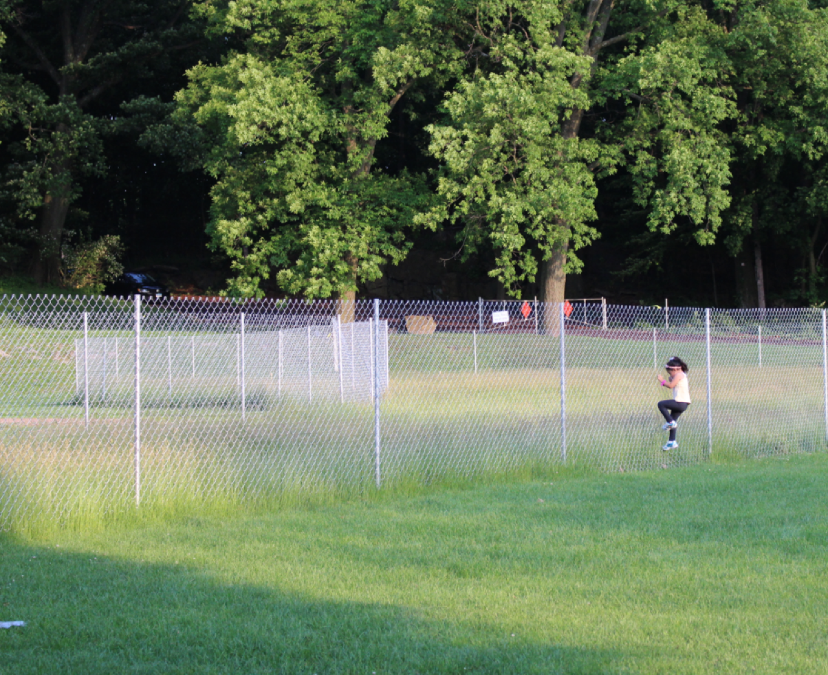 portions of William Street ball field are fenced off because of arsenic in soil