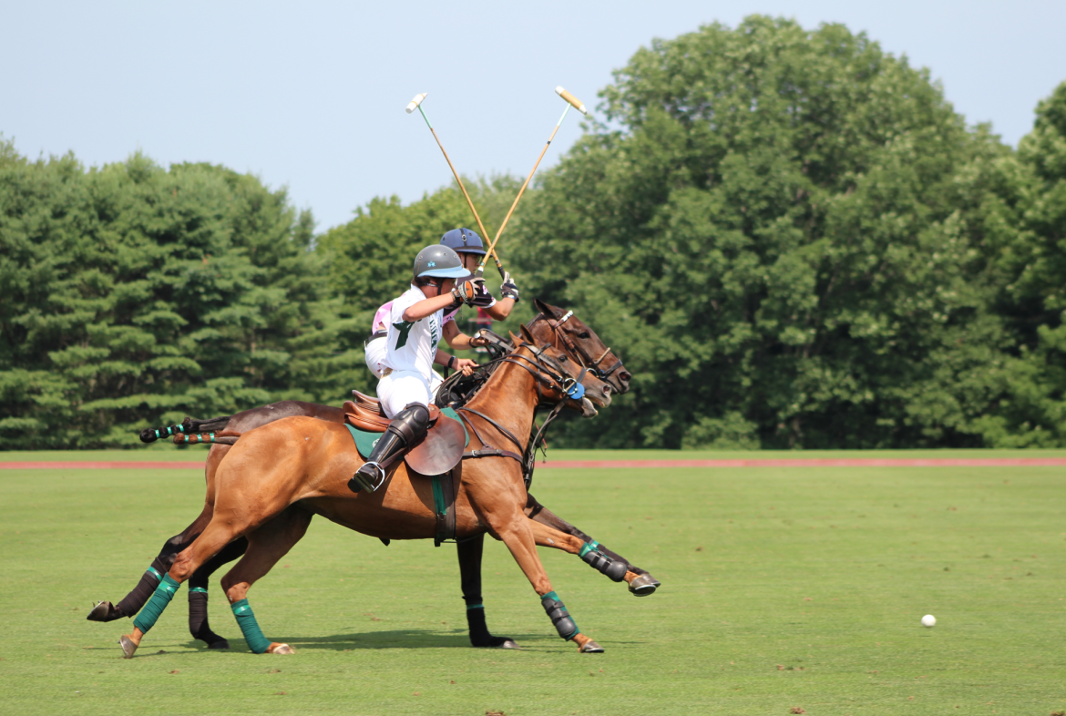 Polo match at Greenwich Polo Club, July 12, 2015. Credit: Leslie Yager