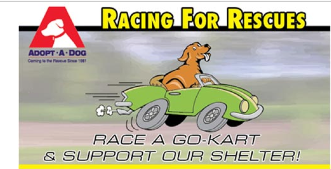 Racing for Rescues