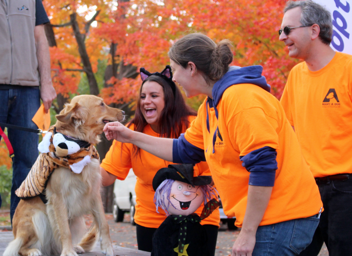  Howl & Prowl fundraiser for Adopt-A-Dog on Greenwich Ave on Sunday, Oct. 25, 2015. Credit: Leslie Yager