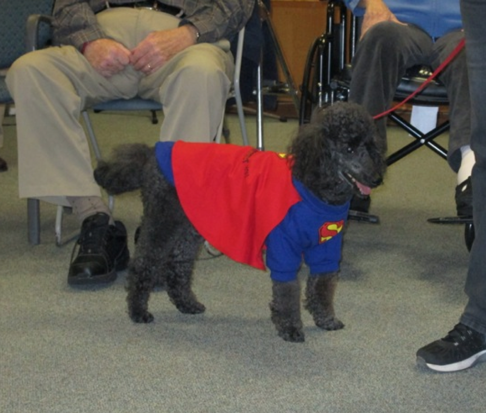 Rosalind McAstro's dog, Roman, was dressed up as Superdog.