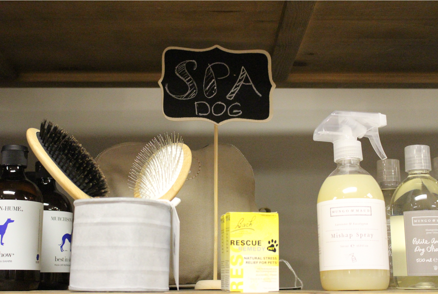 Spa Dog ata Raleigh & Co