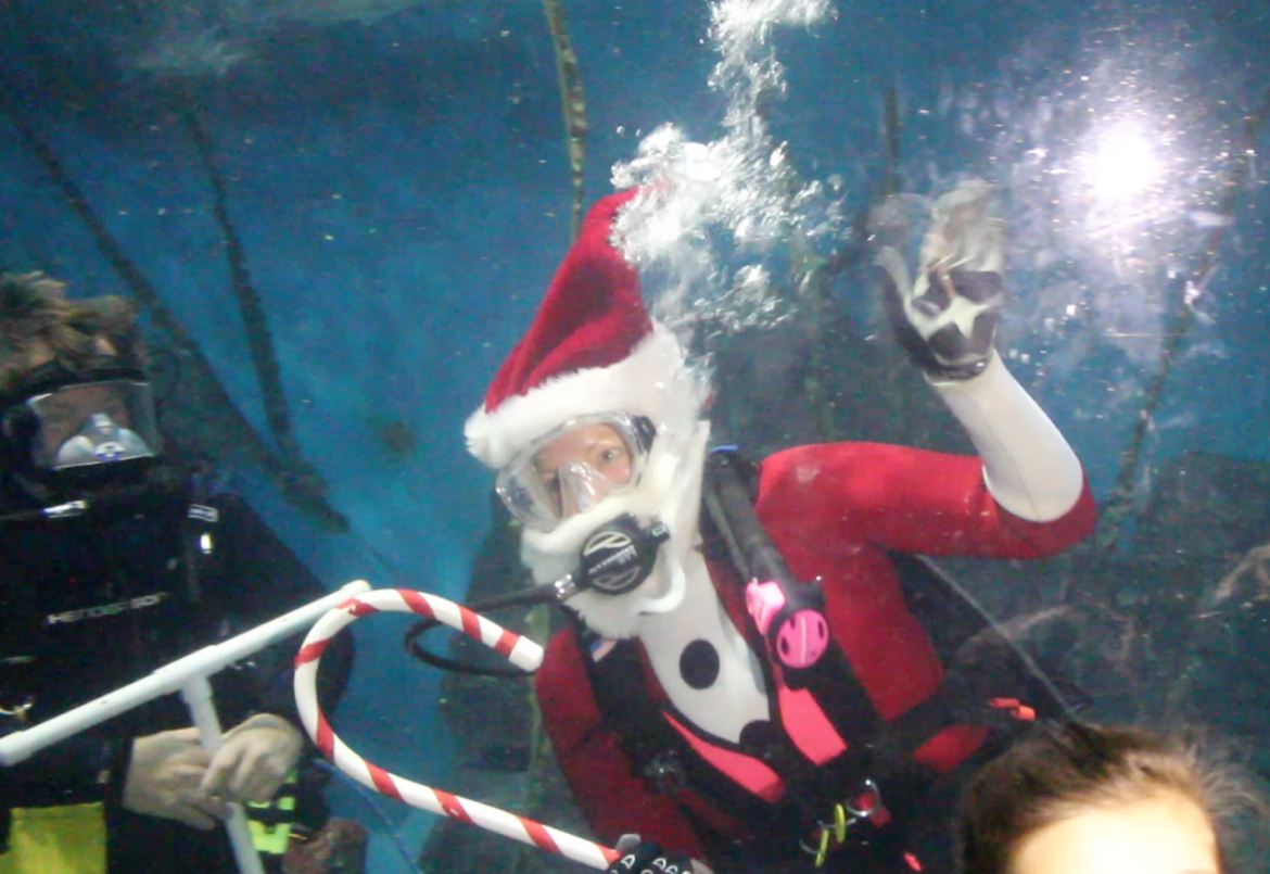 Tina Pray dressed as Santa in the shark tank.
