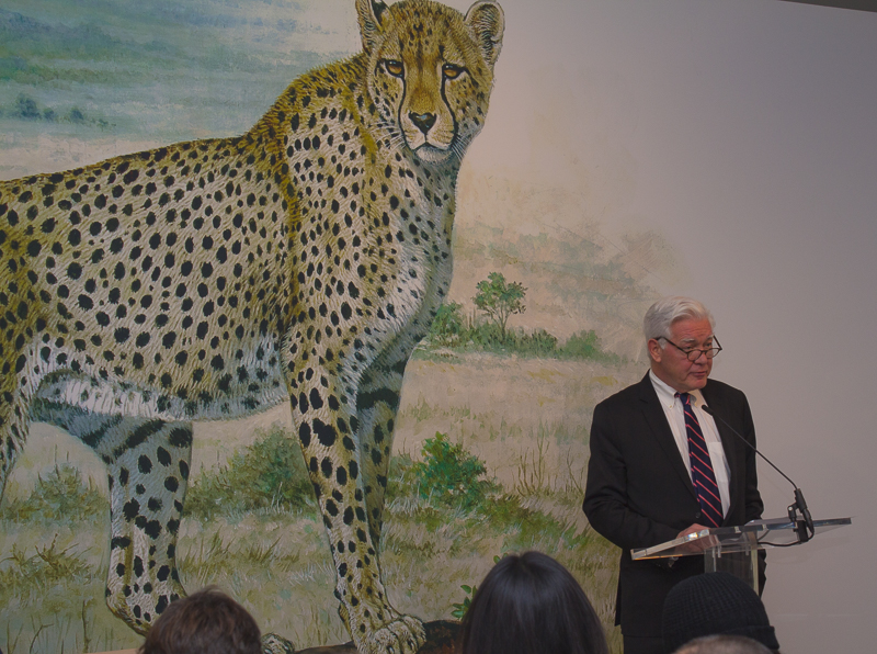 Bruce Museum Executive Director Peter C. Sutton discusses the importance of this world class exhibit and partnering with Panthera - the Global Wildlife Conservation Organization and Hermès commitment to the show. Credit: Karen Sheer 
