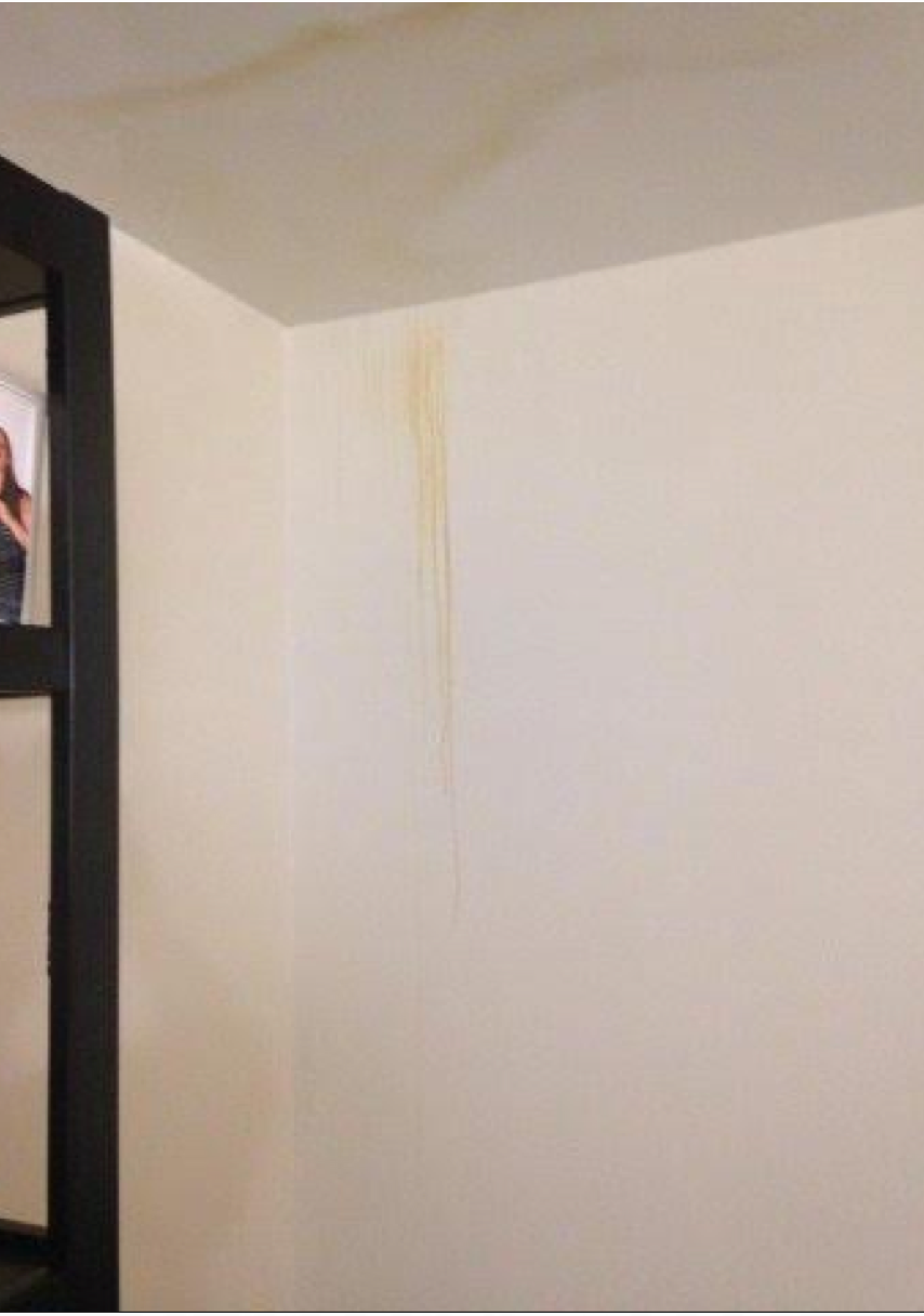 Armstrong Court top floor apartment with ceiling leak. Contributed photo