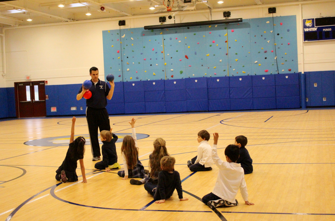 Whitby School climbing wall