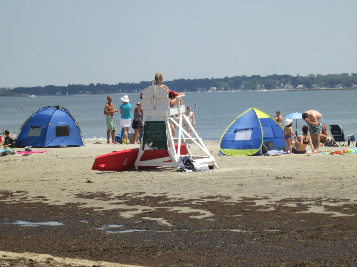 beach lifeguard