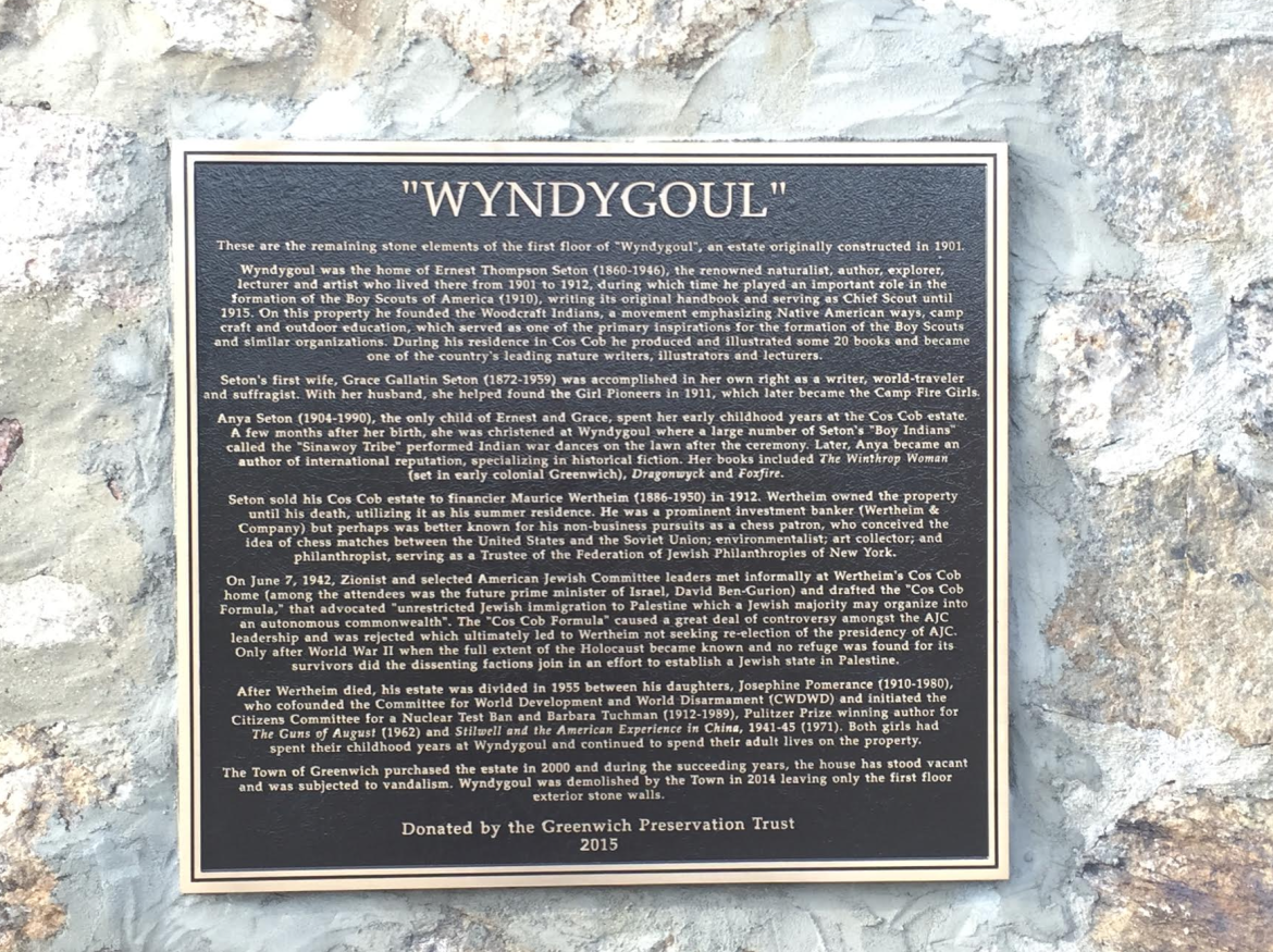 Wyndygoul plaque