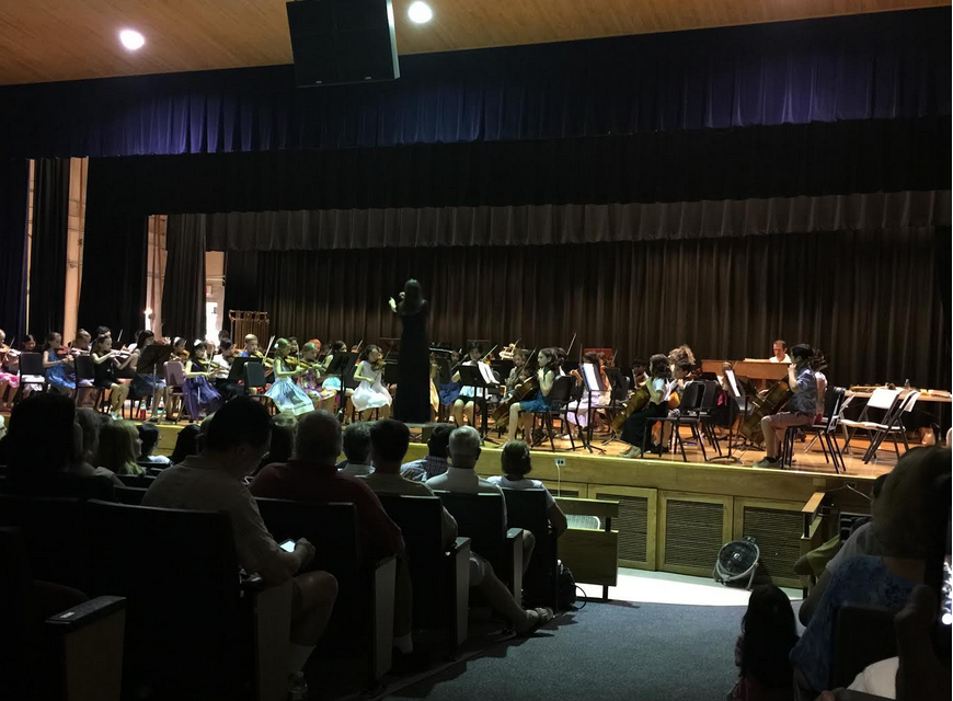Performances of the Junior Strings at the Summer Art & Music Parks & Rec Camp at Western Middle School, Wednesday, July 29, 2015. Contributed photo