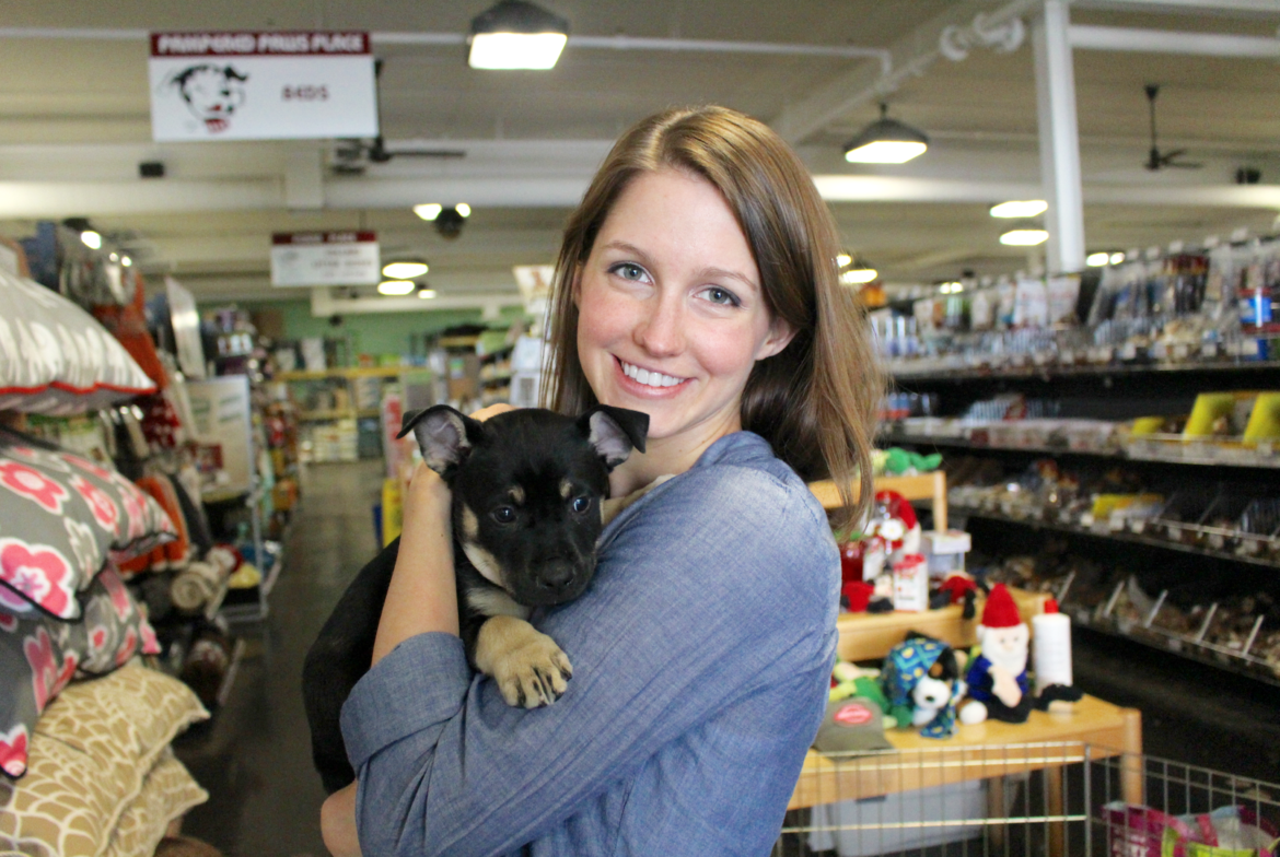 Puppy Parade At Pet Pantry In Greenwich Rescue Puppies For