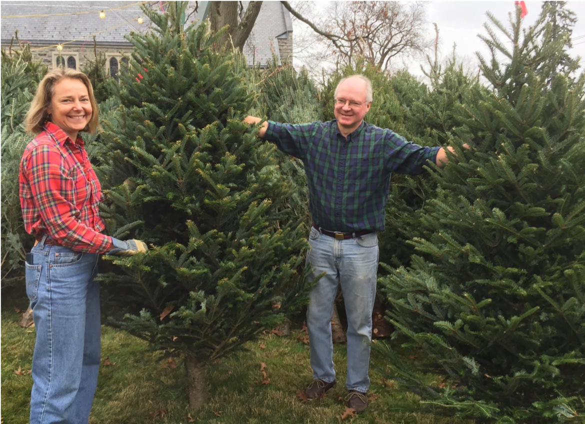 Volunteers are on hand to help pick out a tree at the Charity Christmas Tree Sale.
