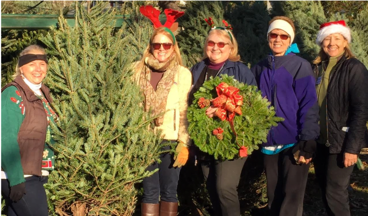  First Church volunteers offer a selection of trees and wreaths at the Charity Christmas Tree Sale.