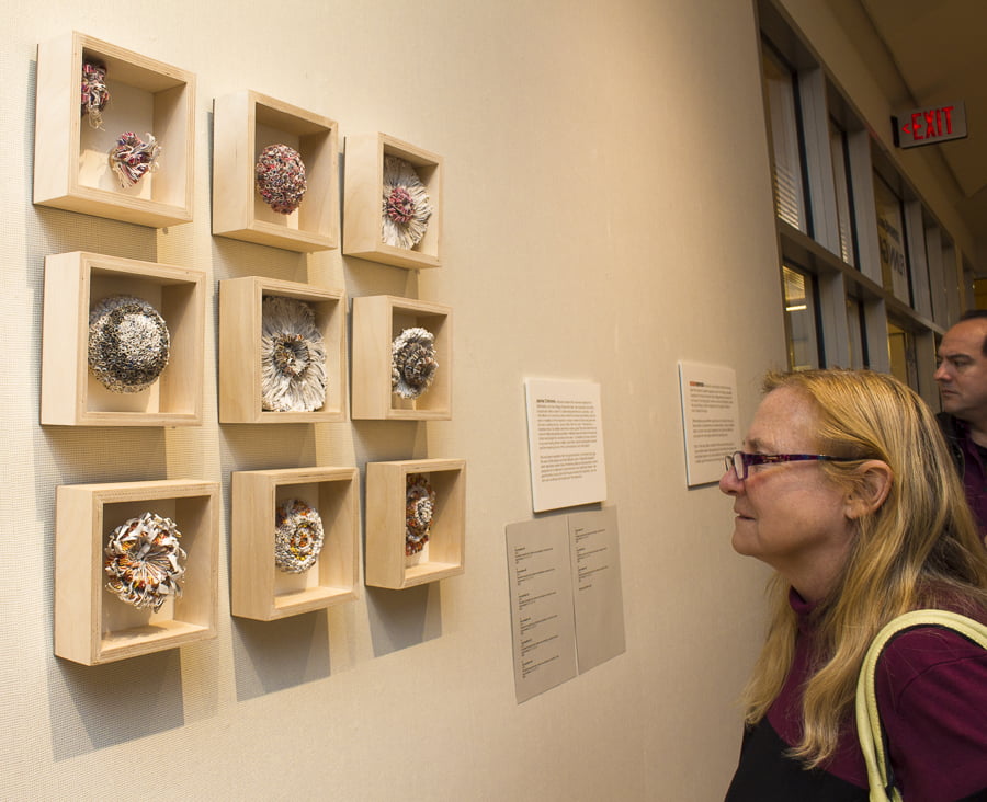 An admirer takes a close up look at works by Jaynie Crimmins. Credit: Karen Sheer
