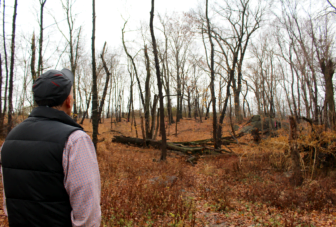 Glenn Petersen looks up toward I95 from the bottom of the ravine where trees are proposed to be removed. Dec. 7, 2016 Credit: Leslie Yager