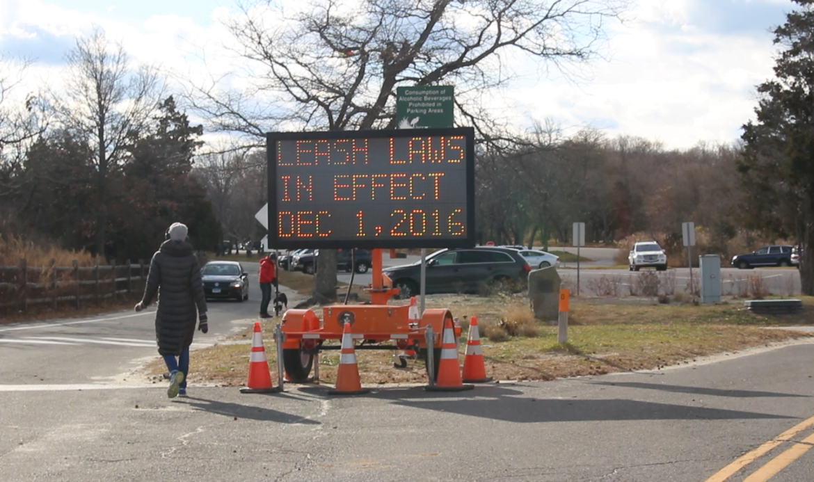 Leashed dogs are only allowed at Tod's Point from December 1 through March 31. Credit: Leslie Yager