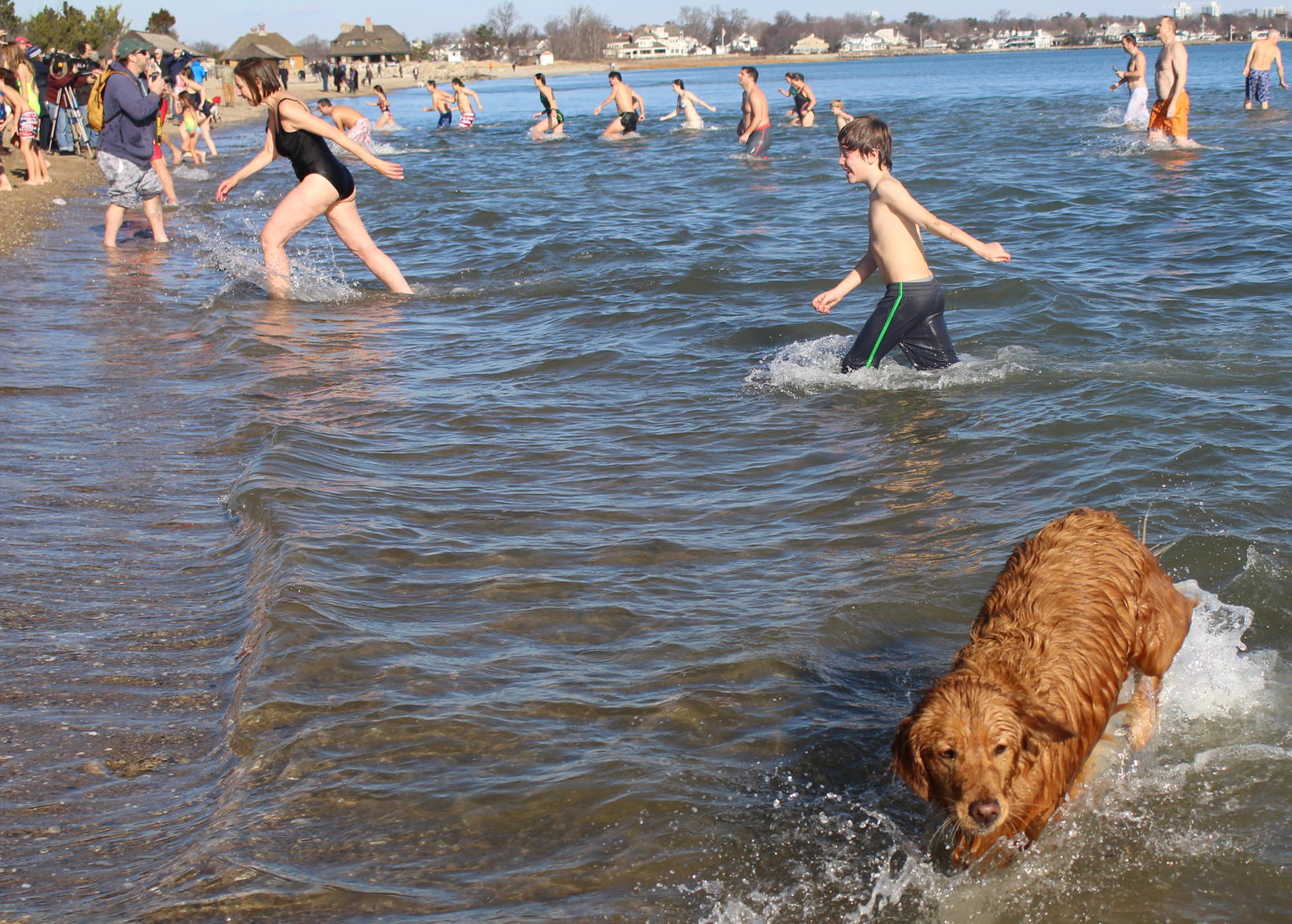 New Year's Day Dip