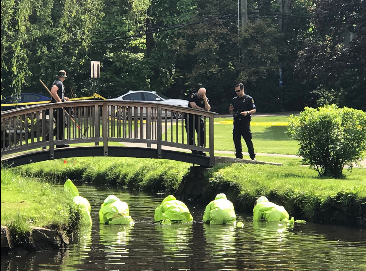 Connecticut State Police dive team were scouring Binney Pond on Thursday, June 8, 2017. Photo Greenwich Police Twitter Feed