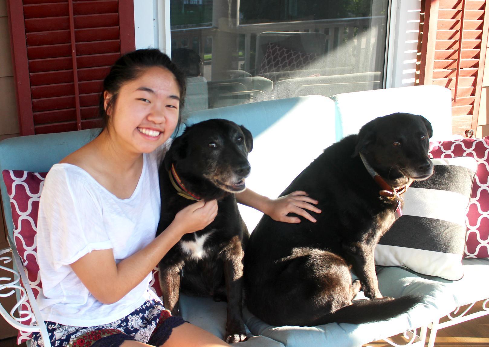 Back in Greenwich Jamie Yee visits two local black Labs she dog sits for. July 2017 Photo: Leslie Yager