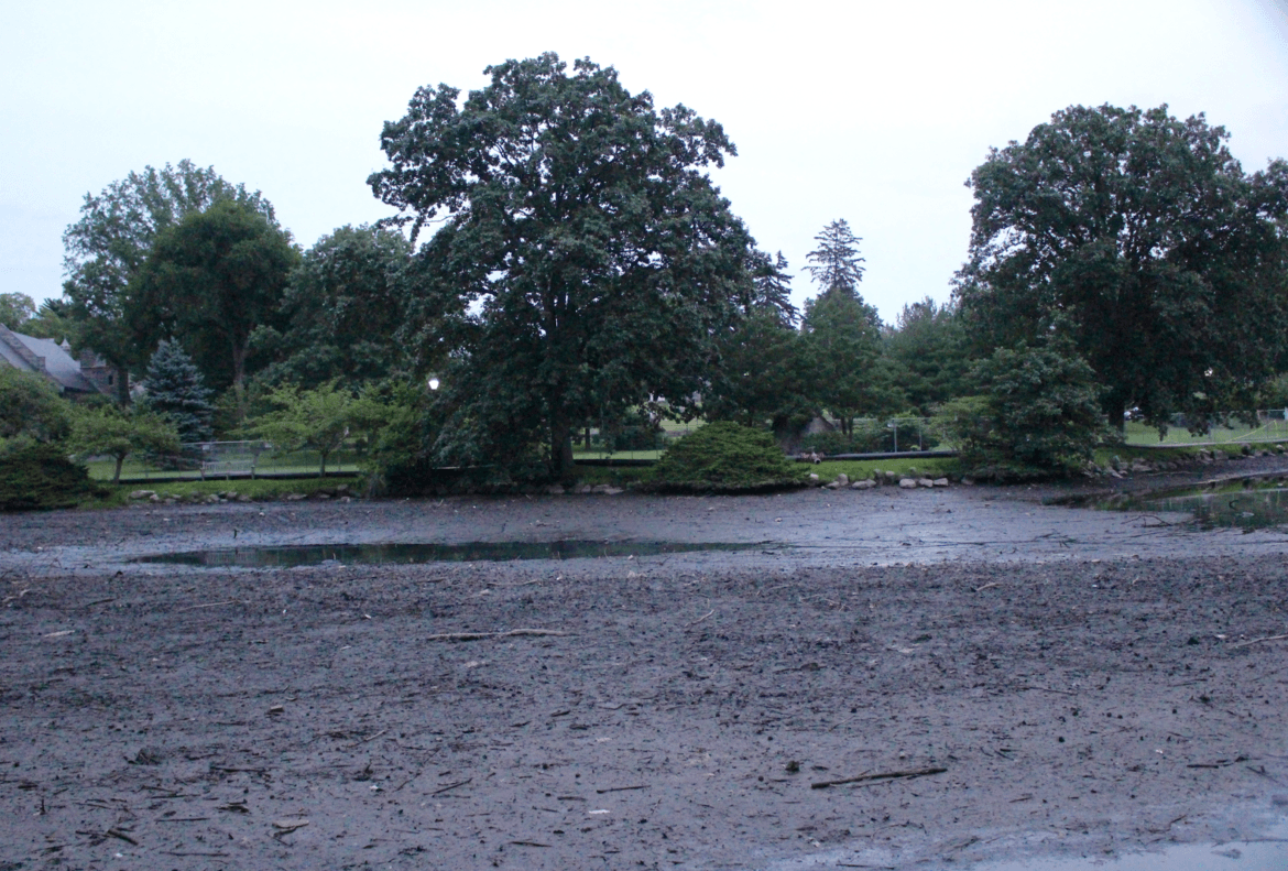 Binney Park Pond de-watered as of July 28, 2017 Photo: Leslie Yager