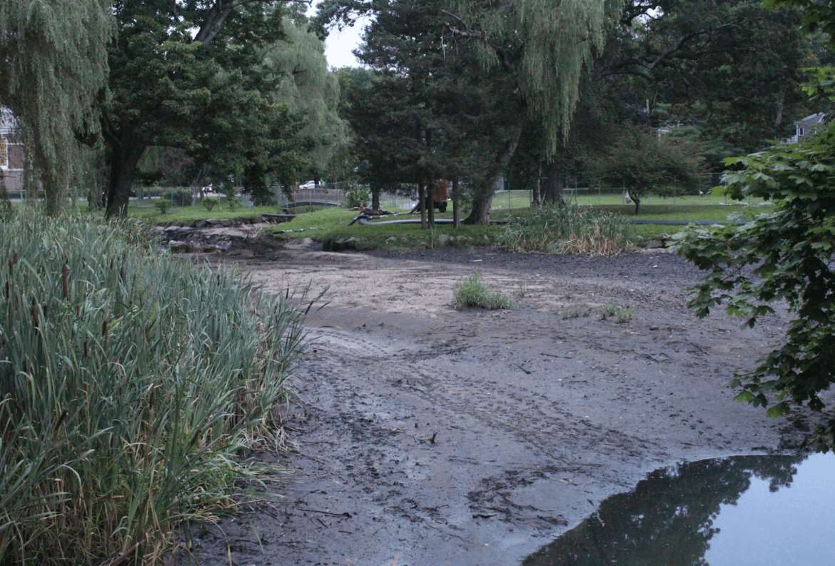 Binney Park Pond de-watered as of July 28, 2017 Photo: Leslie Yager