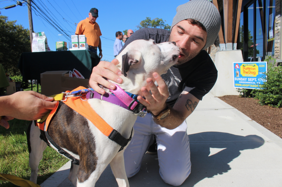 Thumbelina hit it off with Taylor at the ribbon chewing event at Pet Pantry in Riverside on Sept 9, 2017. Photo: Leslie Yager