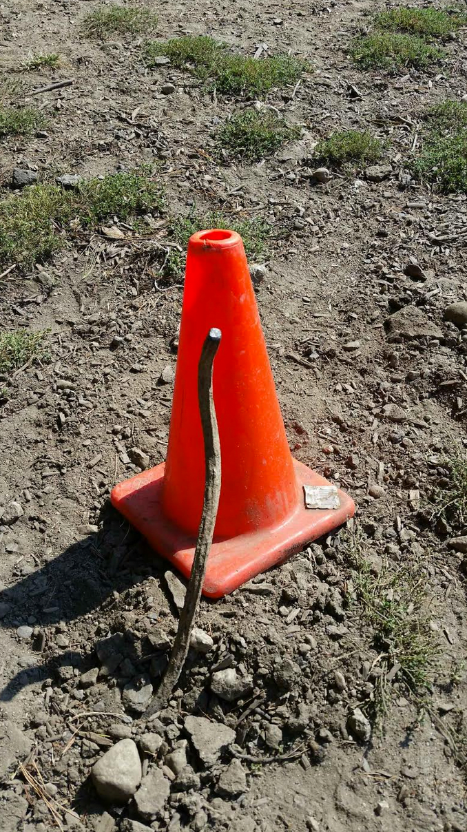 At Grass Island Dog Park there is a large piece of rebar marked by an orange cone. Contributed photo