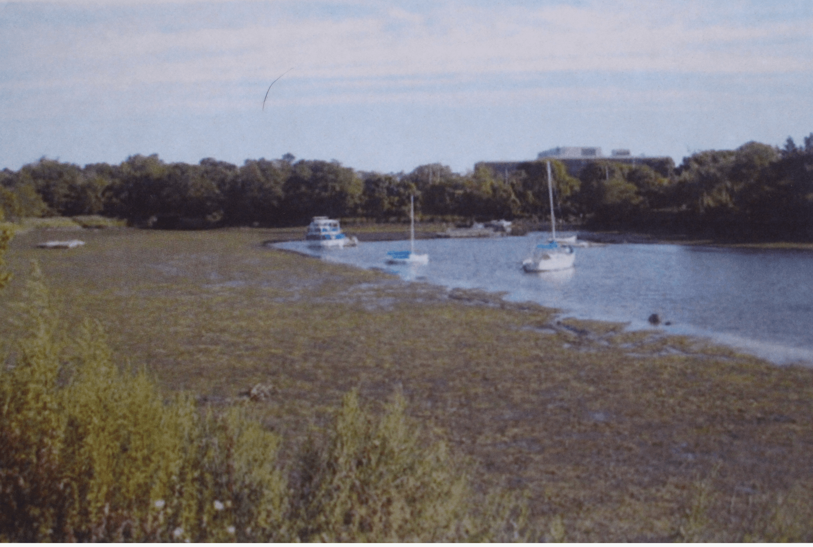 Photos taken in 2012 show the encroaching of mud in the northern most part of Greenwich Harbor. 