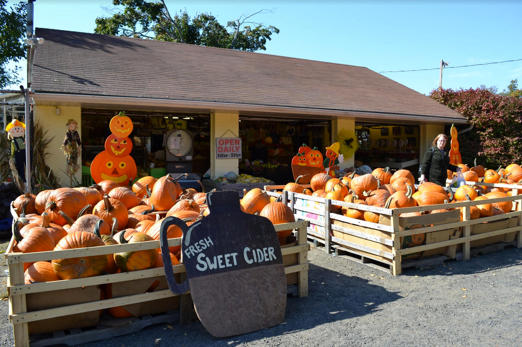 The farm stand at Augustine's Farm has a ton of pumpkins to choose from.