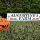 Augustine's Farm, 1332 King Street, Greenwich