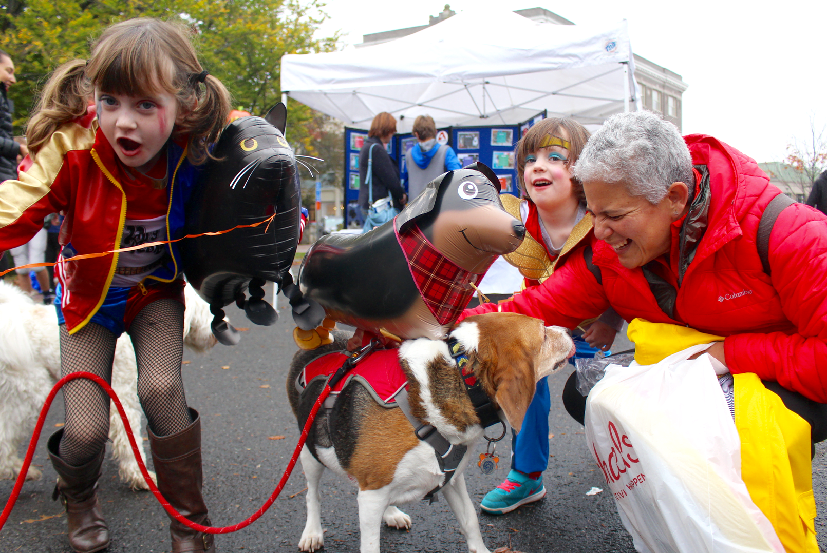 Pet Pantry held its annual "Howl & Prowl" at 290 Greenwich Ave on Nov 5, 2017 Photo: Leslie Yager