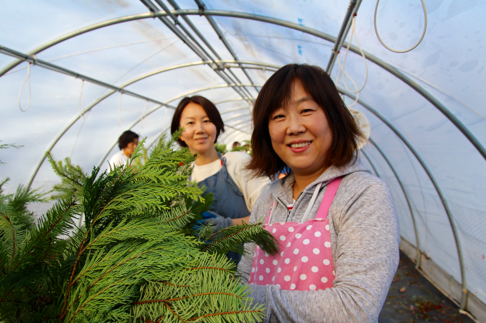 About 30 Japanese women gathered with Mary Hull and Sally Davies of Greenwich Green & Clean at Sam Bridge Nursery & Greenhouses on North Street to arrange holiday baskets of greenery. Photo: Leslie Yager