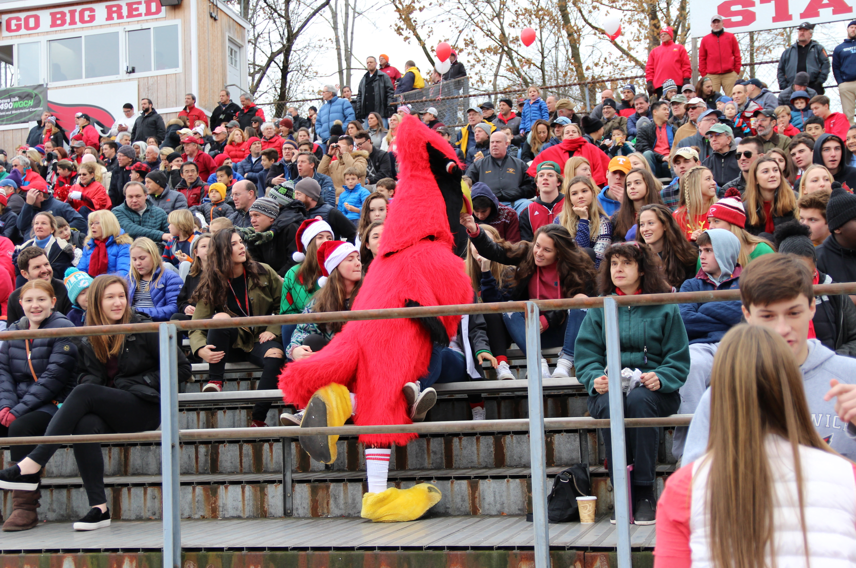 On Sunday, Dec 3, GHS Cardinals beat the South Windsor Bobcats 36 to 7. Photo: Leslie Yager