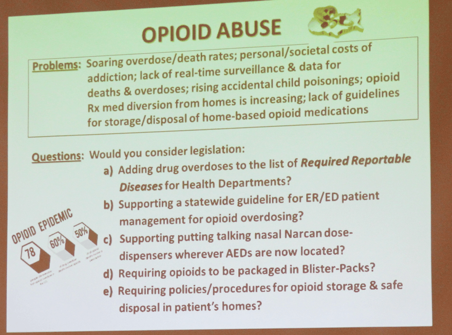 Topics for possible legislation to tackle opioid abuse.