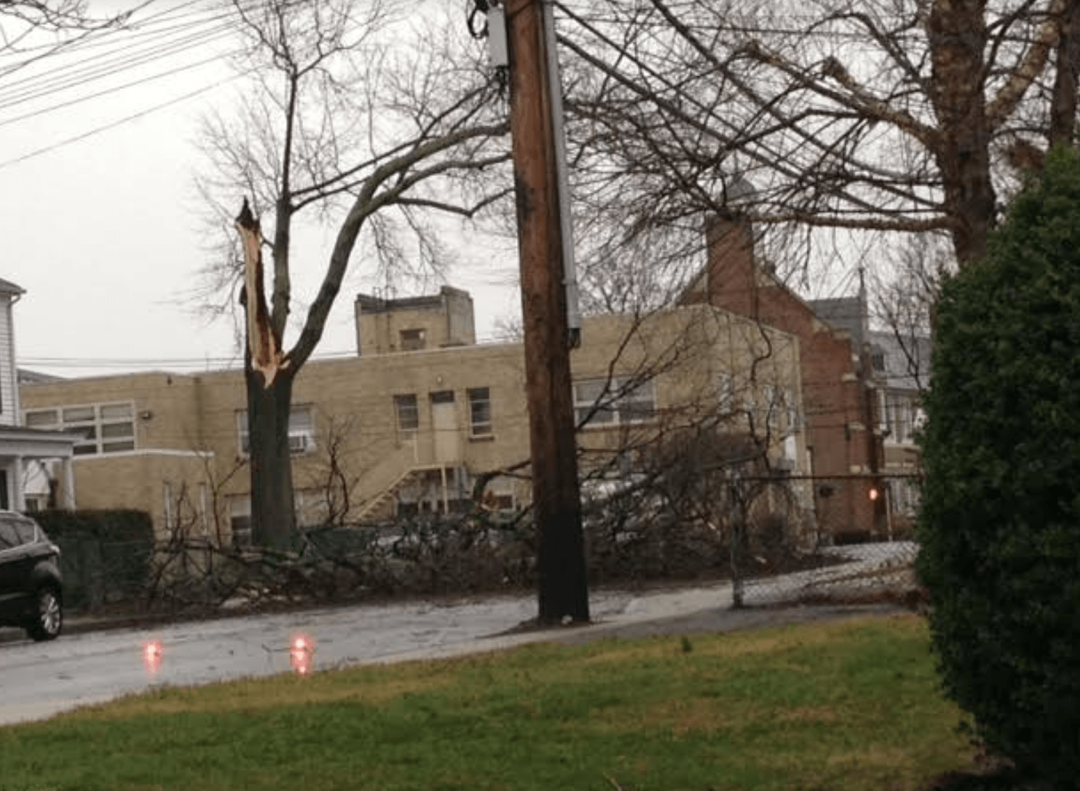 Fallen tree on Hamilton Avenue School. March 2, 2018 Contributed