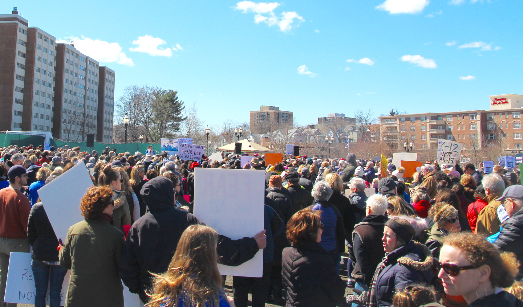 Hundreds gathered for a March for Our Lives rally in Stamford's Mill River Park. March 24, 2018 Photo: Leslie Yager