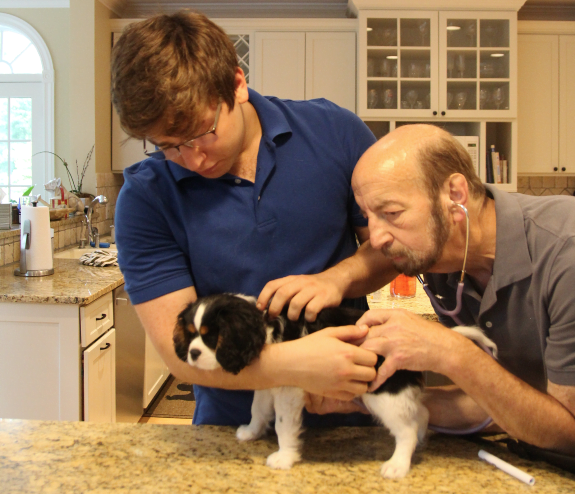 Pet Owners, Are Veterinarian House Calls Ideal for You? Greenwich