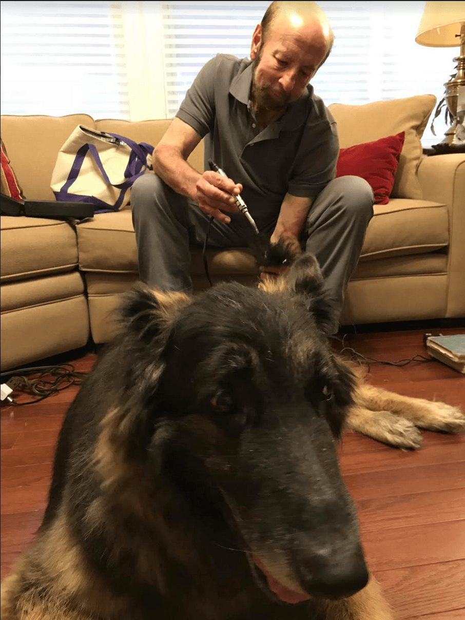 Dr. Wolff using laser acupuncture to treat an arthritic dog