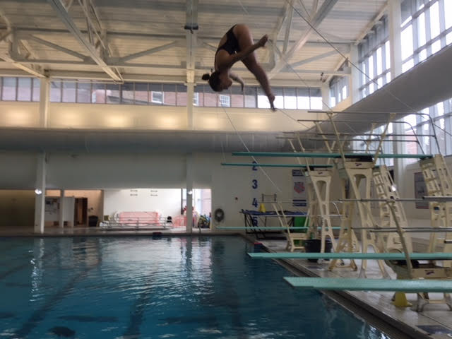 Greenwich Marlins Diving Team Shows What It Takes To Compete