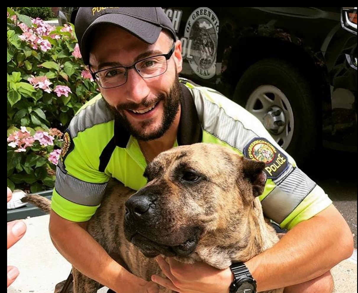 Officer O'Connor with Henry. Photo: Greenwich Police Silver Shield Association Facebook