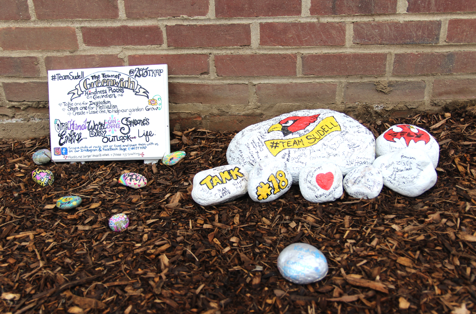 Kindness rocks painted by the GHS football team were put in place at the opening of the kindness rocks healing garden at Greenwich Town Hall. Friday, Sept 7, 2018 Photo: Leslie Yager