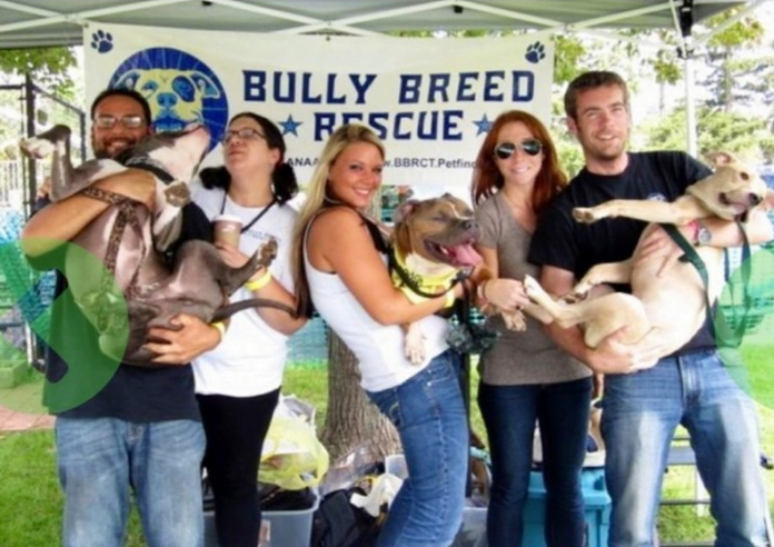 Heidi Lueders with others from Bully Breed Rescue at an adoption event in Greenwich in 2013. Photo: Leslie Yager