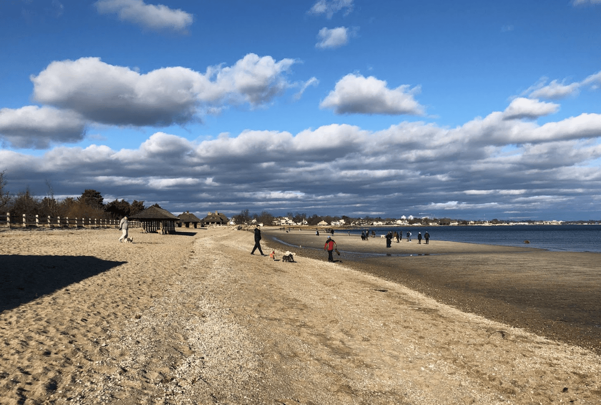 Dogs and their owners enjoying the full expanse of Tod’s Point Beach. Dec 29, 2018 Photo: Avery Barakett