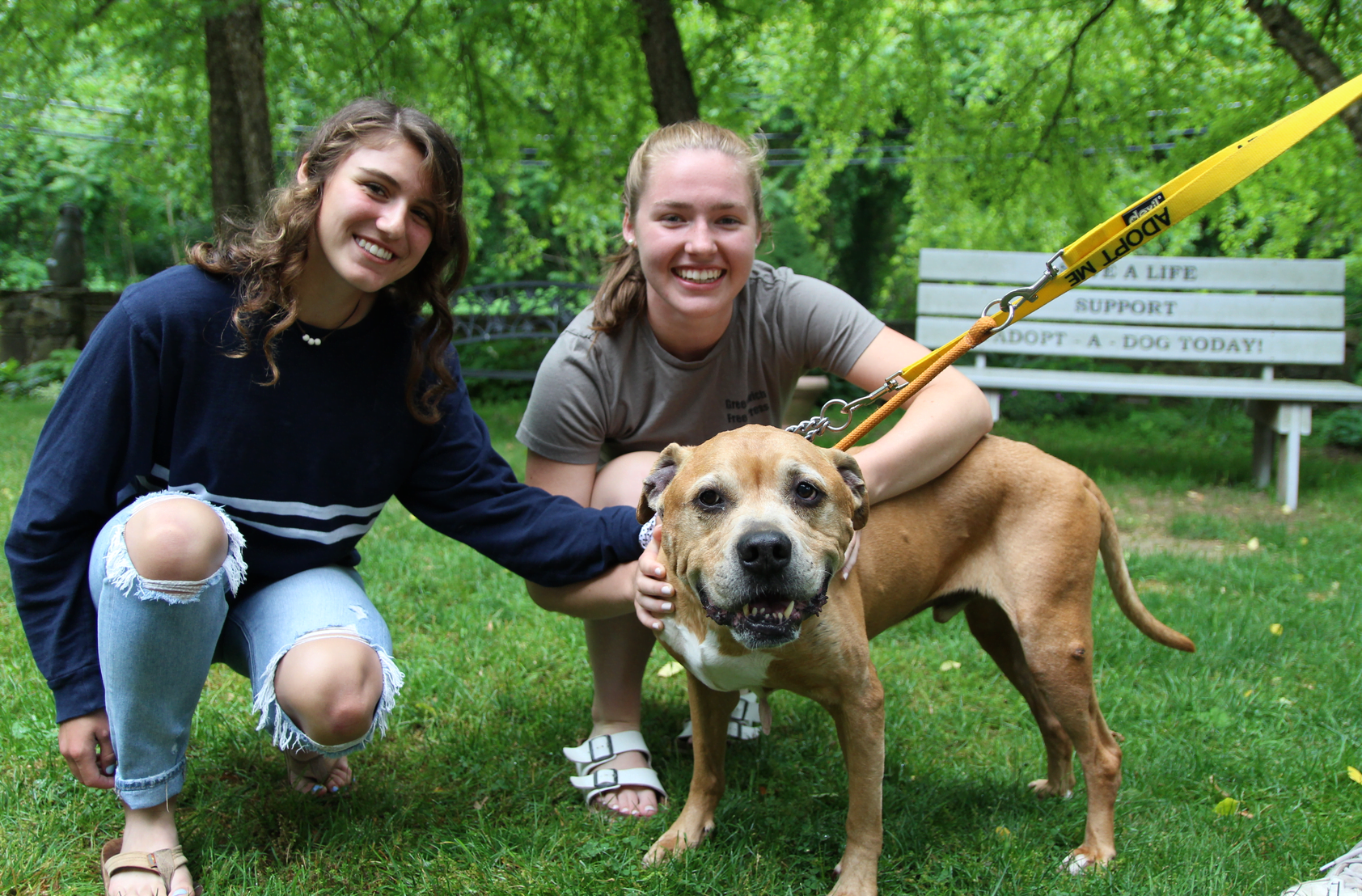 Katie and Ellie with Dugan at Adopt a Dog. June 10, 2019 Photo: Leslie Yager