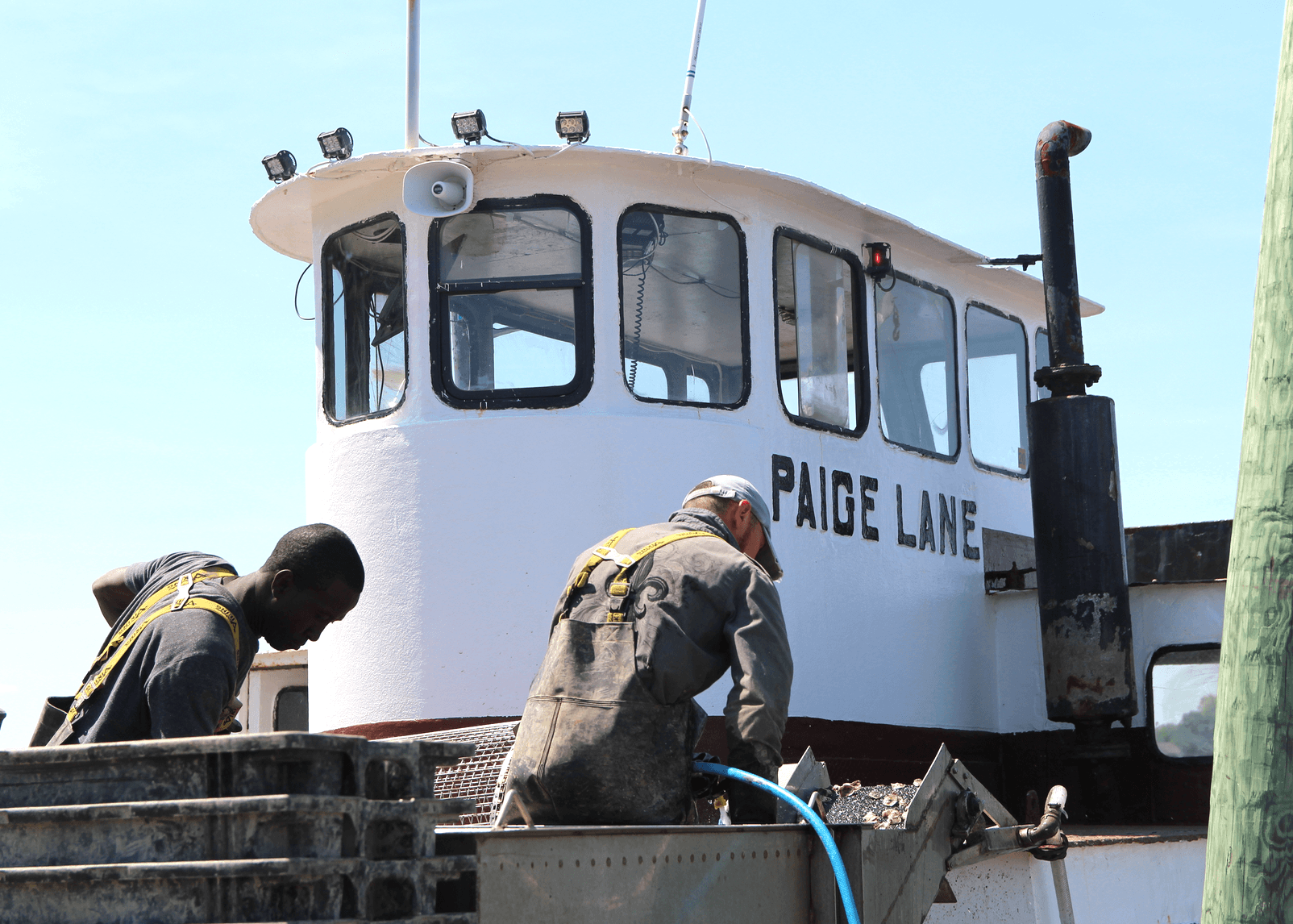 Workers from Stella Mar Oysters aboard the Paige Lane oyster barge at Experience the Sound. June 23, 2019 Photo: Leslie Yager